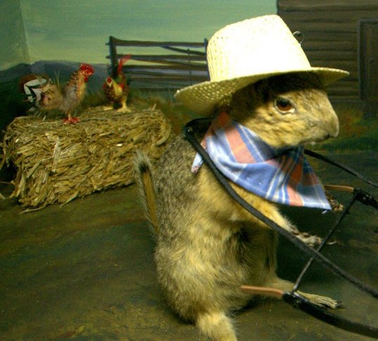 Farmer Gopher